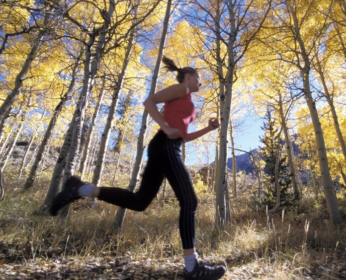 fit woman running in woods